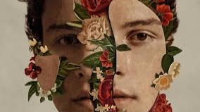Shawn Mendes (alternatively Shawn Mendes: The Album)[3][4][5] is the self-titled third studio album by Canadian singer and songwriter&n...